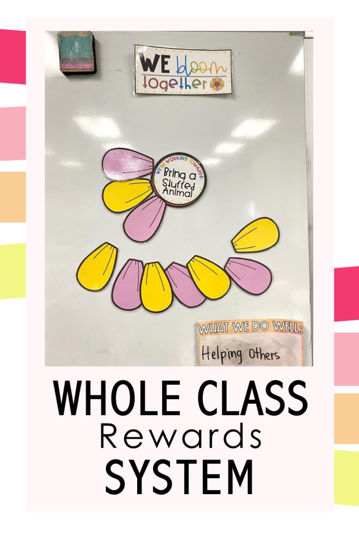whole class rewards system