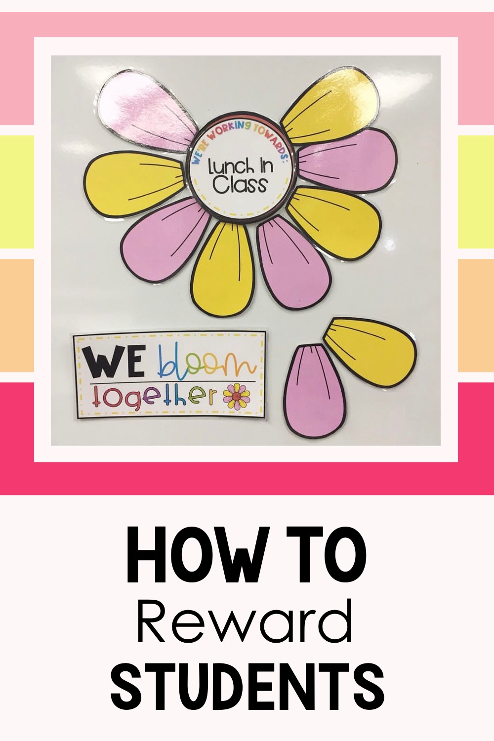 elementary class expectations